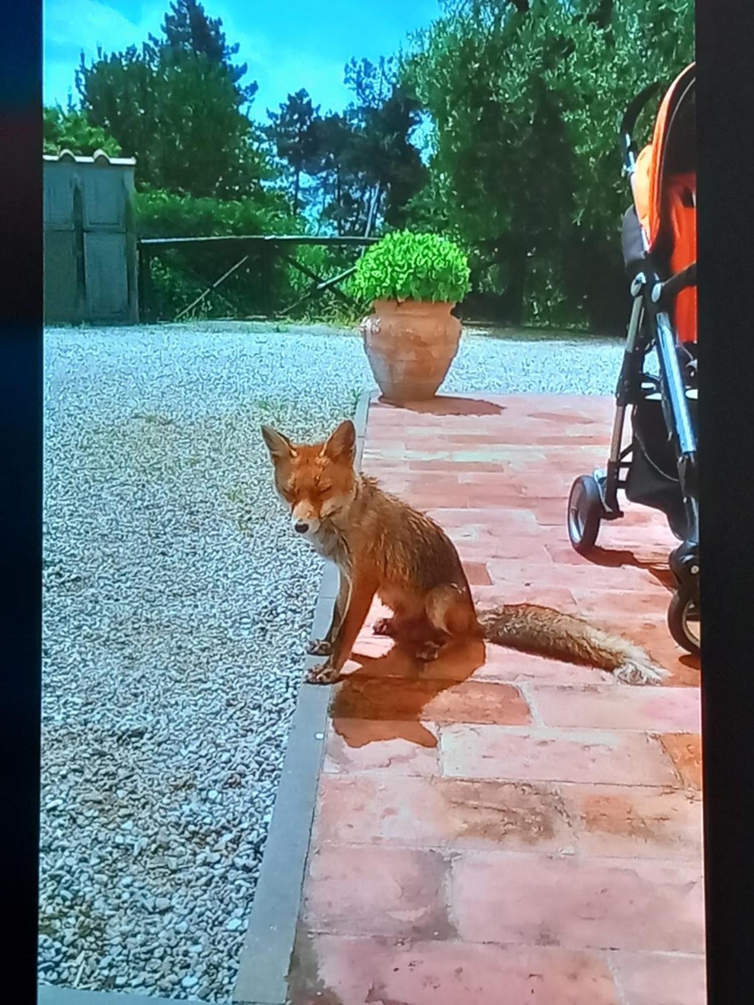 Agriturismo Da Nonna Argia Massa e Cozzile المظهر الخارجي الصورة